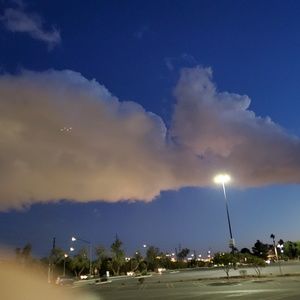 Meet your Posher, Mayetta